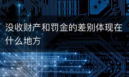 没收财产和罚金的差别体现在什么地方