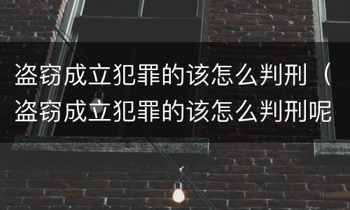 盗窃成立犯罪的该怎么判刑（盗窃成立犯罪的该怎么判刑呢）