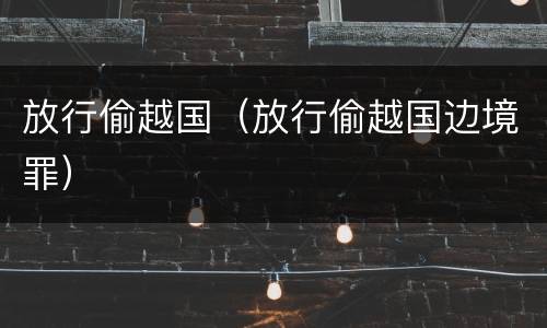 放行偷越国（放行偷越国边境罪）