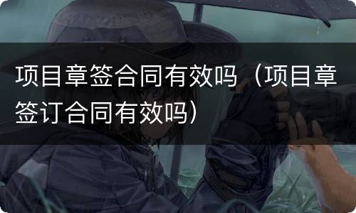 项目章签合同有效吗（项目章签订合同有效吗）