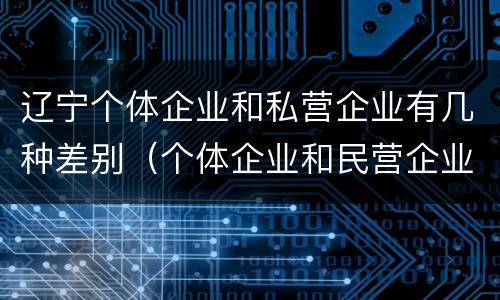 辽宁个体企业和私营企业有几种差别（个体企业和民营企业的区别）