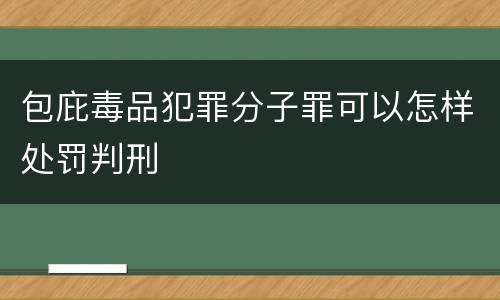 包庇毒品犯罪分子罪可以怎样处罚判刑