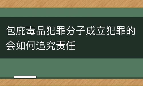 包庇毒品犯罪分子成立犯罪的会如何追究责任