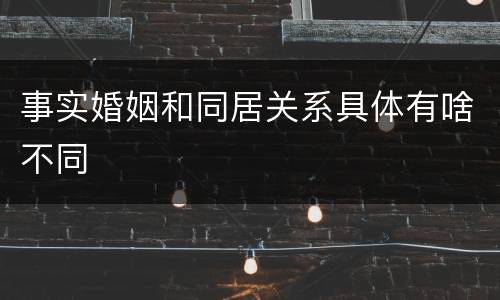 事实婚姻和同居关系具体有啥不同