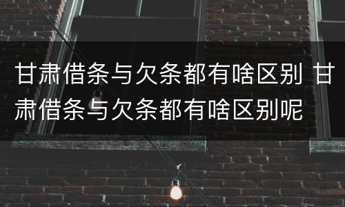 甘肃借条与欠条都有啥区别 甘肃借条与欠条都有啥区别呢