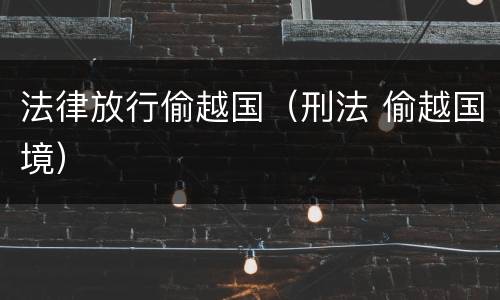 法律放行偷越国（刑法 偷越国境）