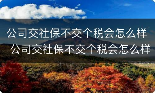 公司交社保不交个税会怎么样 公司交社保不交个税会怎么样吗