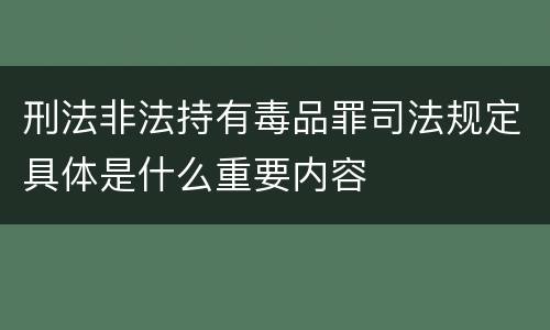 刑法非法持有毒品罪司法规定具体是什么重要内容