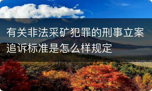 有关非法采矿犯罪的刑事立案追诉标准是怎么样规定