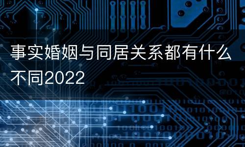 事实婚姻与同居关系都有什么不同2022