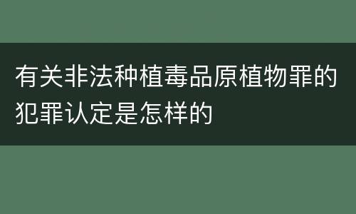 有关非法种植毒品原植物罪的犯罪认定是怎样的