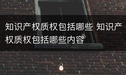 知识产权质权包括哪些 知识产权质权包括哪些内容