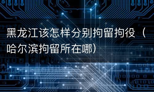 黑龙江该怎样分别拘留拘役（哈尔滨拘留所在哪）