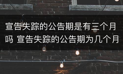 宣告失踪的公告期是有三个月吗 宣告失踪的公告期为几个月