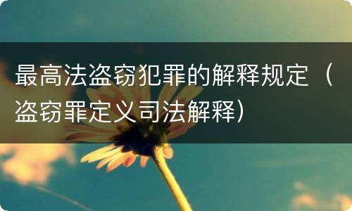 最高法盗窃犯罪的解释规定（盗窃罪定义司法解释）