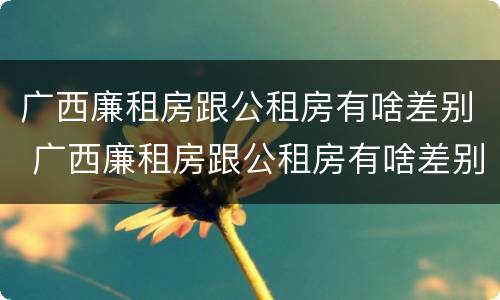 广西廉租房跟公租房有啥差别 广西廉租房跟公租房有啥差别吗