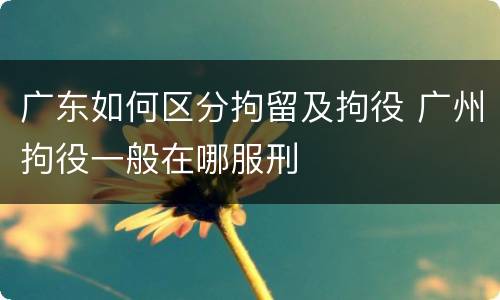 广东如何区分拘留及拘役 广州拘役一般在哪服刑