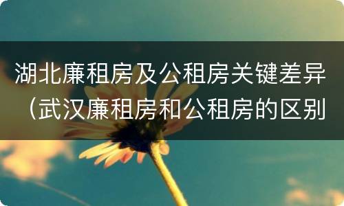 湖北廉租房及公租房关键差异（武汉廉租房和公租房的区别）