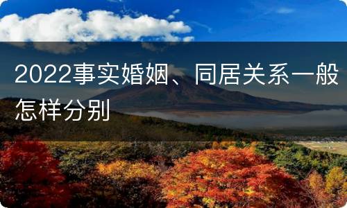 2022事实婚姻、同居关系一般怎样分别