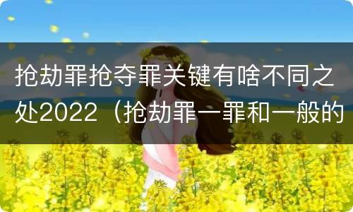 抢劫罪抢夺罪关键有啥不同之处2022（抢劫罪一罪和一般的抢劫罪）