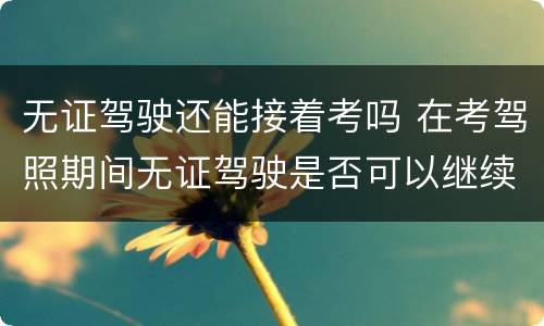 无证驾驶还能接着考吗 在考驾照期间无证驾驶是否可以继续考驾照