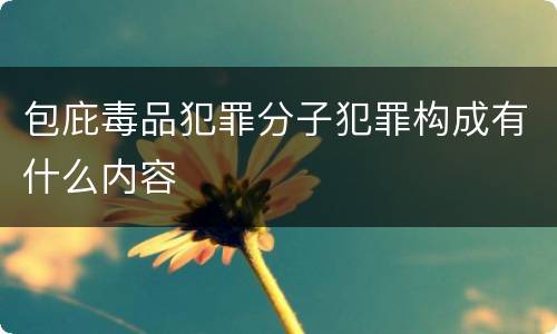 包庇毒品犯罪分子犯罪构成有什么内容