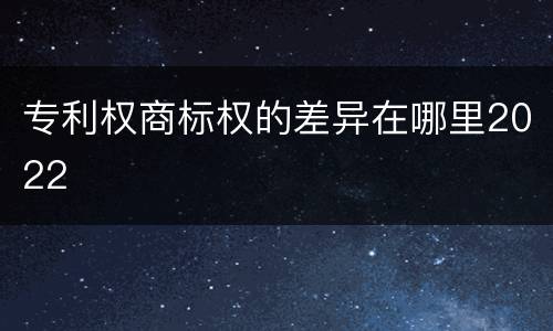 专利权商标权的差异在哪里2022