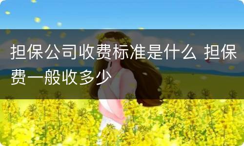 担保公司收费标准是什么 担保费一般收多少