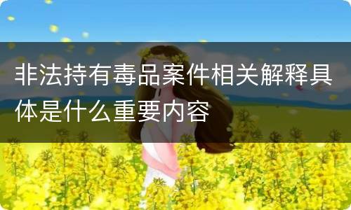 非法持有毒品案件相关解释具体是什么重要内容