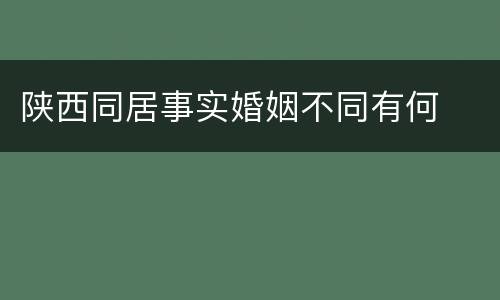 陕西同居事实婚姻不同有何
