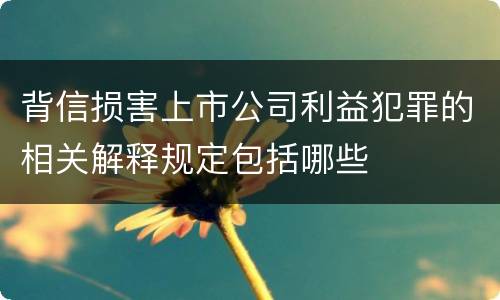 背信损害上市公司利益犯罪的相关解释规定包括哪些