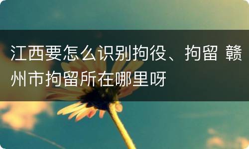 江西要怎么识别拘役、拘留 赣州市拘留所在哪里呀