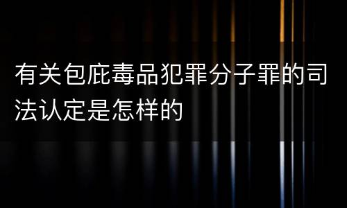 有关包庇毒品犯罪分子罪的司法认定是怎样的