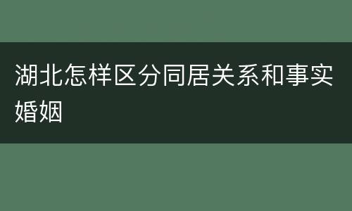 湖北怎样区分同居关系和事实婚姻