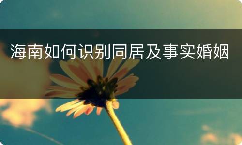 海南如何识别同居及事实婚姻