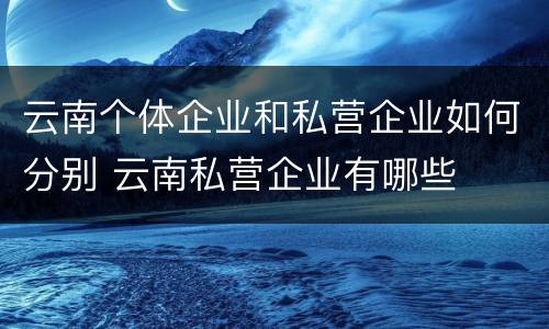 云南个体企业和私营企业如何分别 云南私营企业有哪些