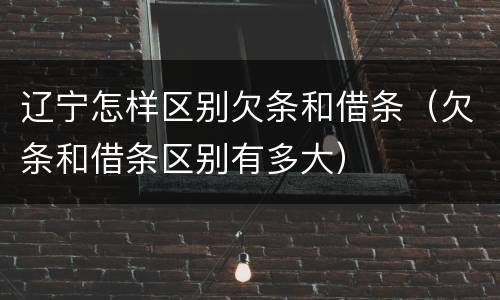 辽宁怎样区别欠条和借条（欠条和借条区别有多大）