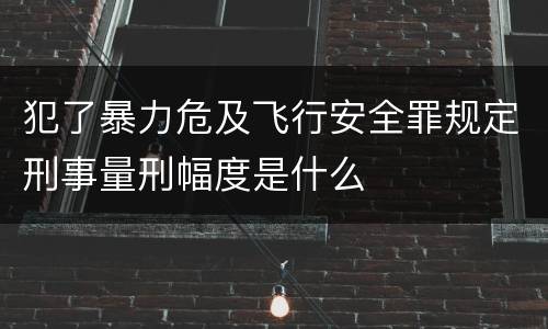 犯了暴力危及飞行安全罪规定刑事量刑幅度是什么