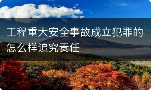 工程重大安全事故成立犯罪的怎么样追究责任