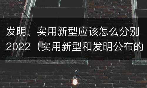 发明、实用新型应该怎么分别2022（实用新型和发明公布的区别）