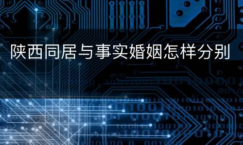 陕西同居与事实婚姻怎样分别