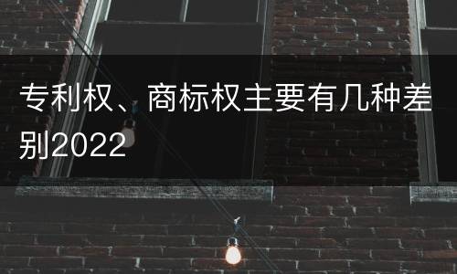 专利权、商标权主要有几种差别2022