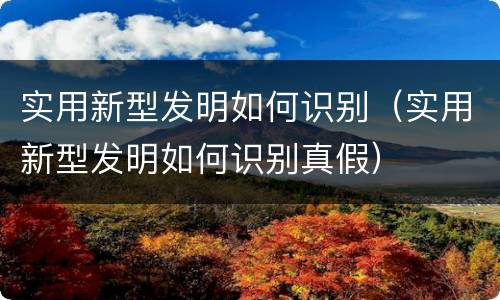 实用新型发明如何识别（实用新型发明如何识别真假）