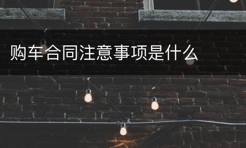 购车合同注意事项是什么