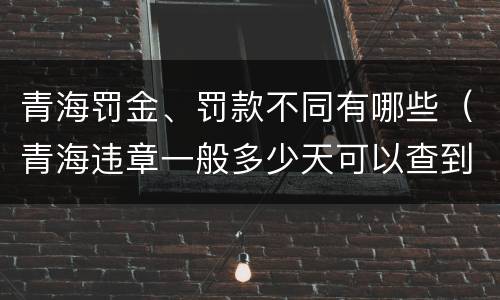 青海罚金、罚款不同有哪些（青海违章一般多少天可以查到）