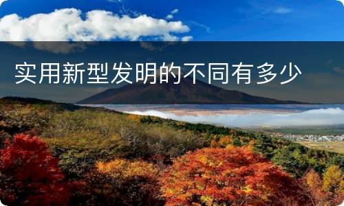 实用新型发明的不同有多少