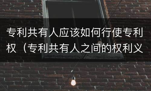 专利共有人应该如何行使专利权（专利共有人之间的权利义务关系）
