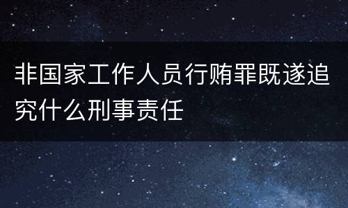 非国家工作人员行贿罪既遂追究什么刑事责任