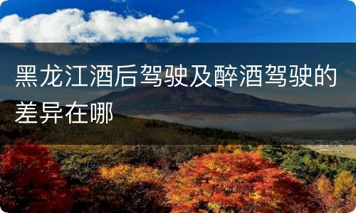 黑龙江酒后驾驶及醉酒驾驶的差异在哪