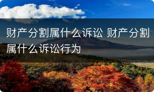 财产分割属什么诉讼 财产分割属什么诉讼行为